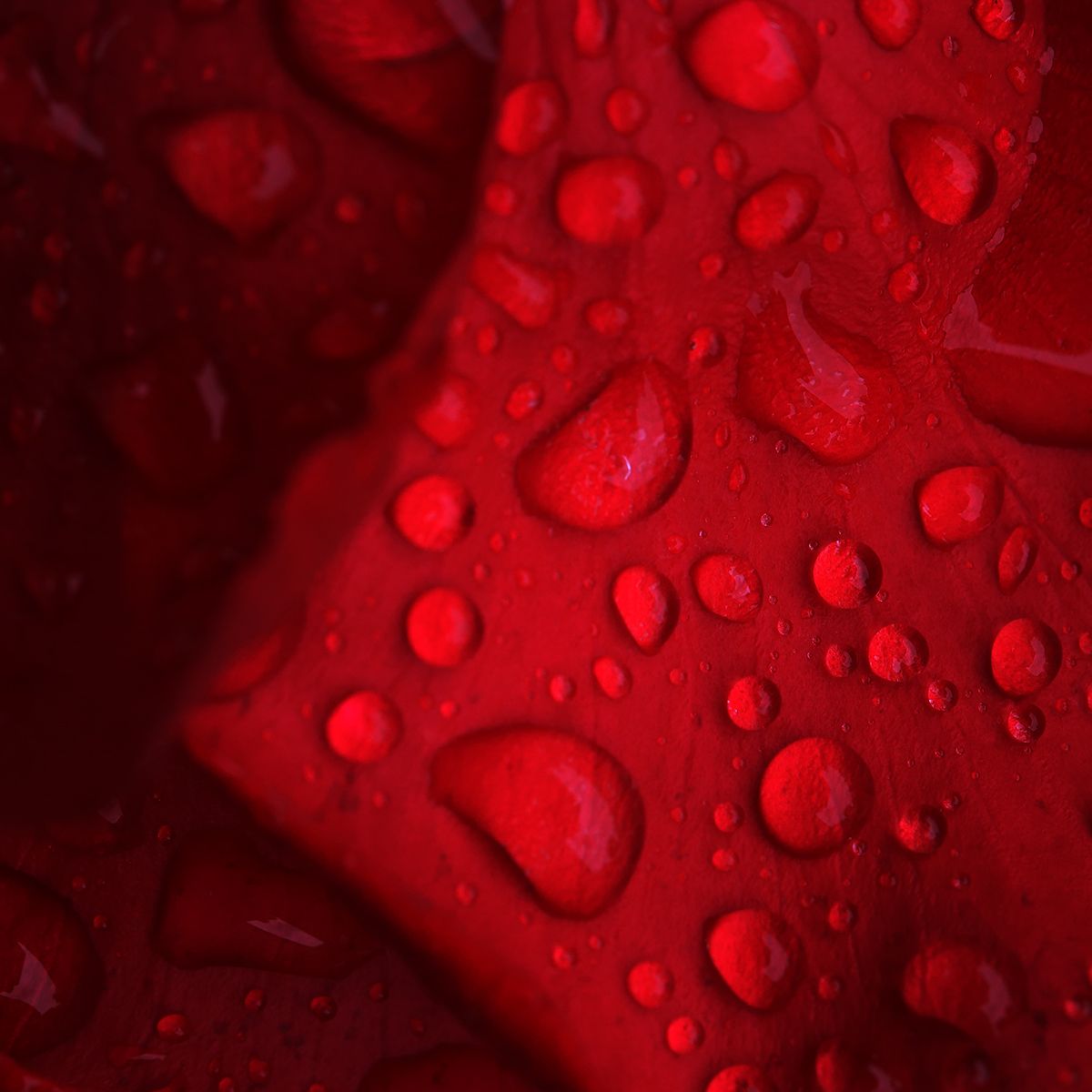 Tom Ford - Lost Cherry