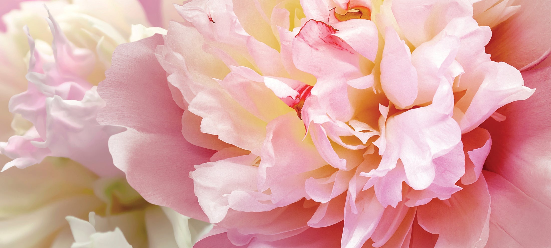 For Her