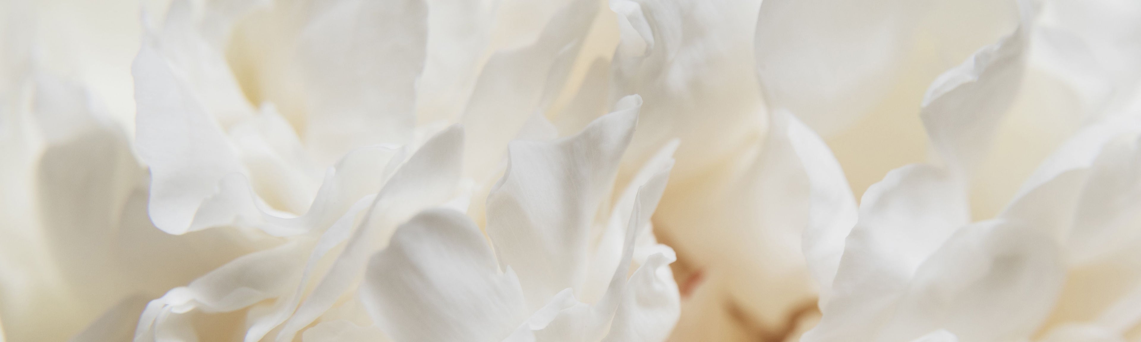 Spring Fragrances