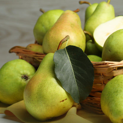Jo Malone - English Pear &amp; Freesia